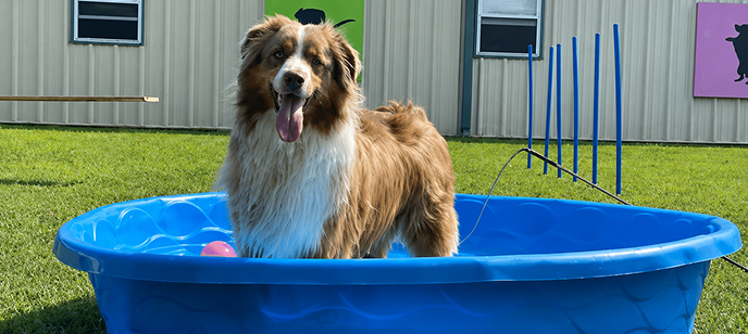 Pool play and splash mats